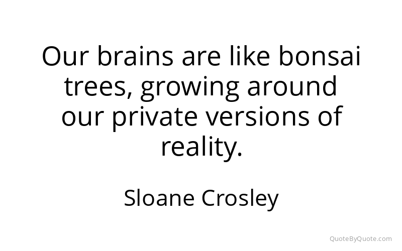 Preview image for this quote by Sloane Crosley