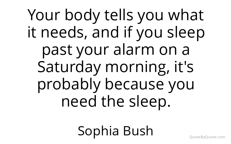 Preview image for this quote by Sophia Bush