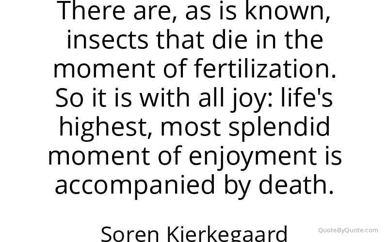 Preview image for this quote by Soren Kierkegaard