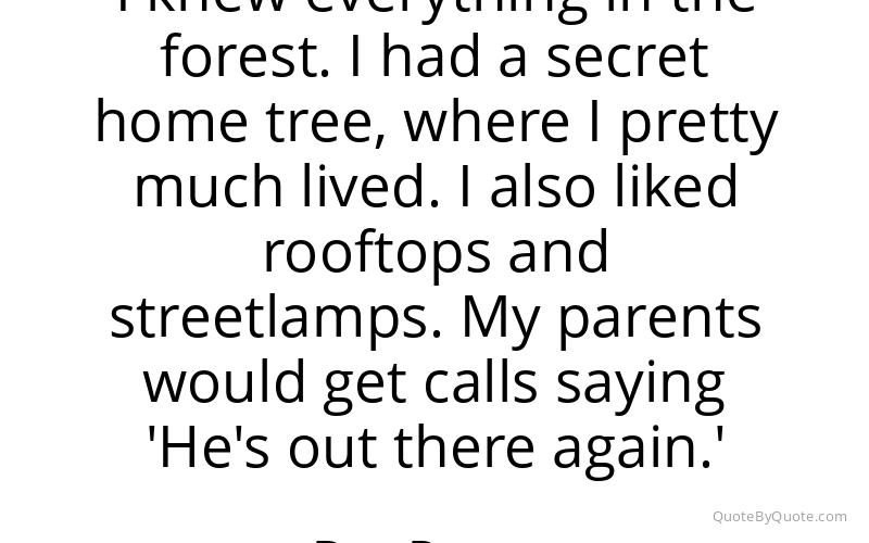 Preview image for this quote by Bas Rutten