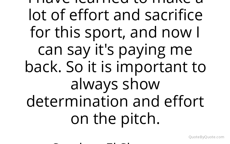 Preview image for this quote by Stephan El Shaarawy