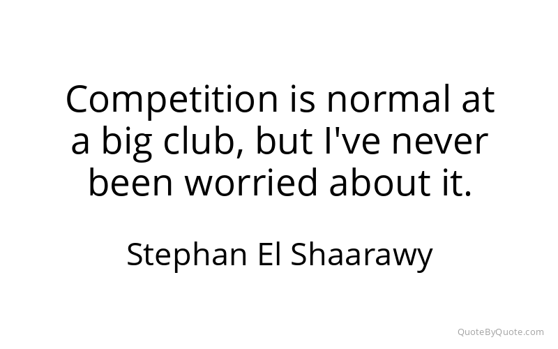 Preview image for this quote by Stephan El Shaarawy