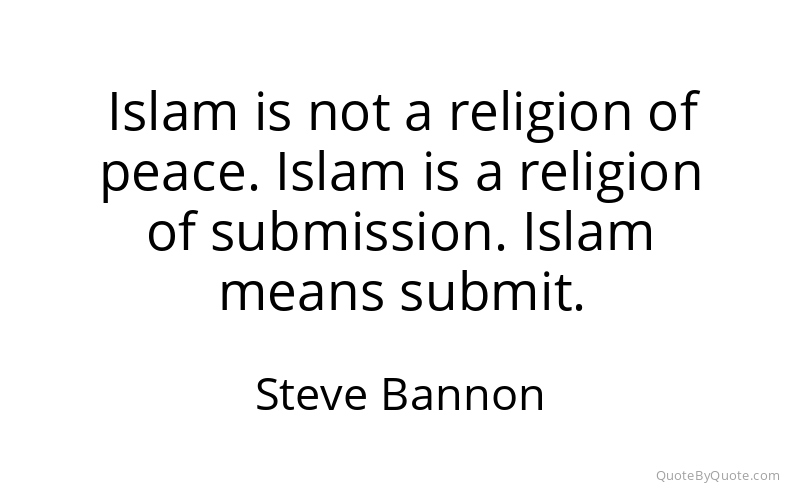 Preview image for this quote by Steve Bannon