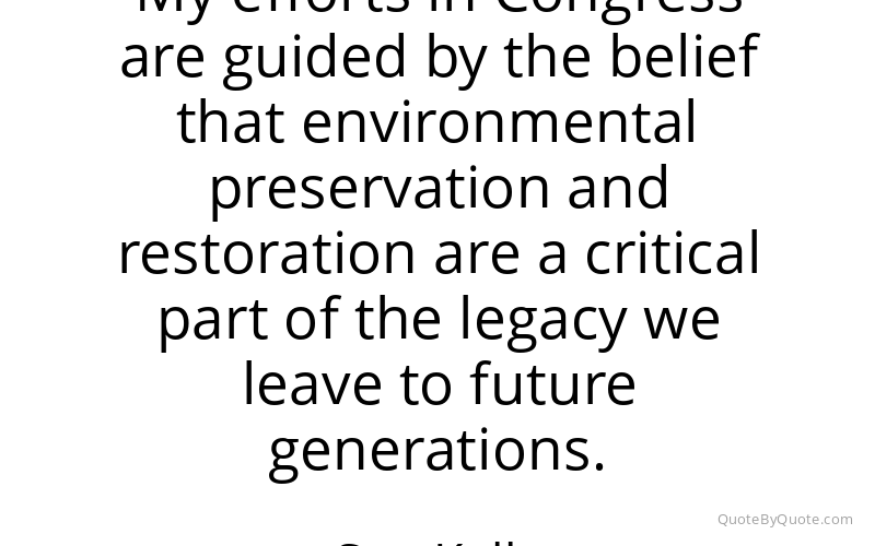 Preview image for this quote by Sue Kelly