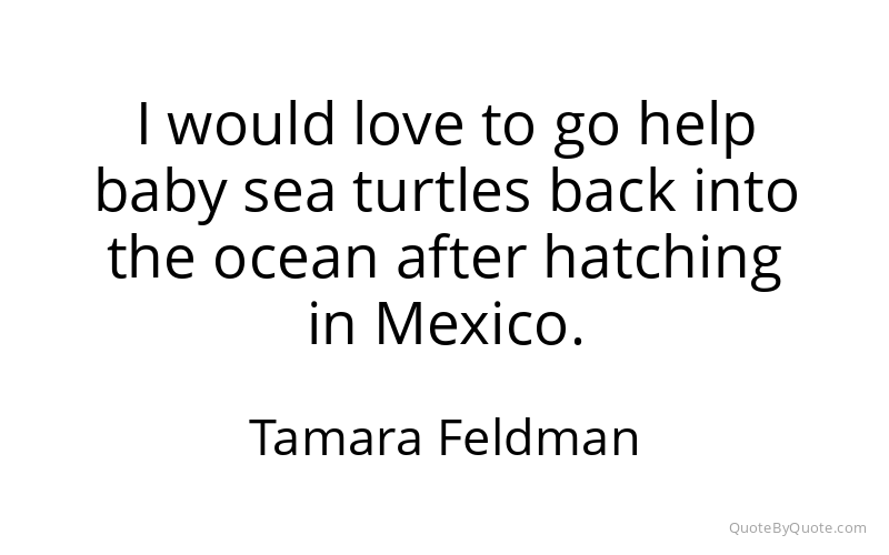 Preview image for this quote by Tamara Feldman