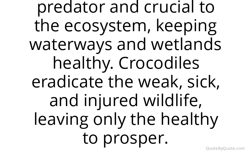 Preview image for this quote by Terri Irwin