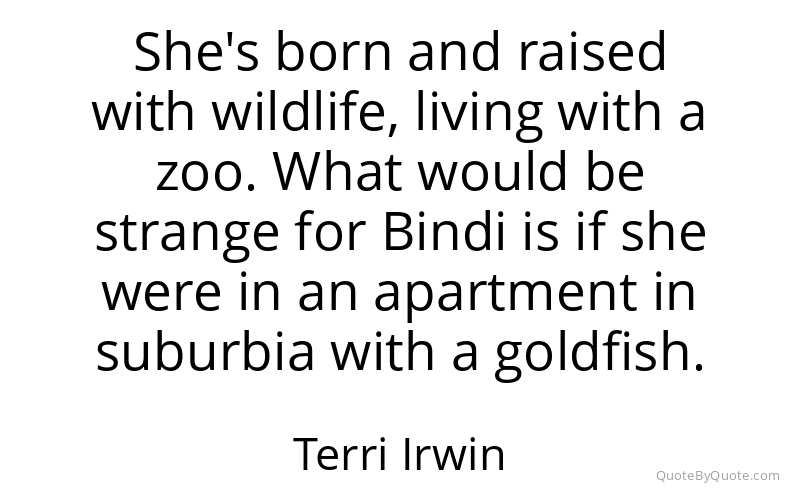 Preview image for this quote by Terri Irwin