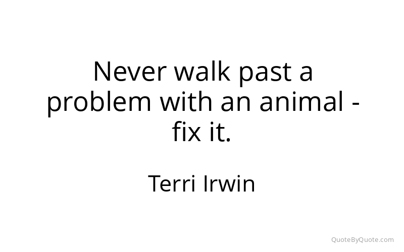 Preview image for this quote by Terri Irwin