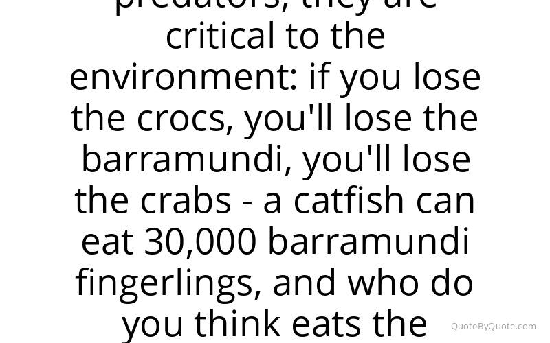 Preview image for this quote by Terri Irwin