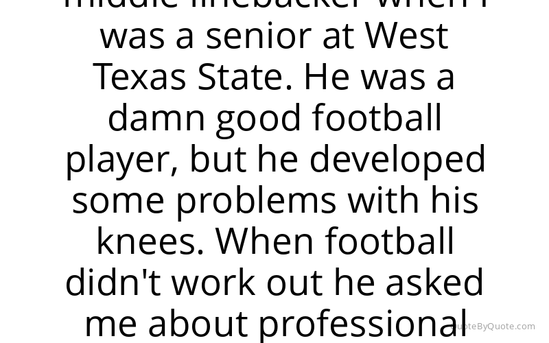 Preview image for this quote by Terry Funk