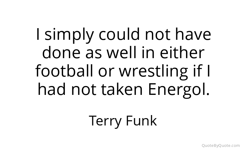 Preview image for this quote by Terry Funk
