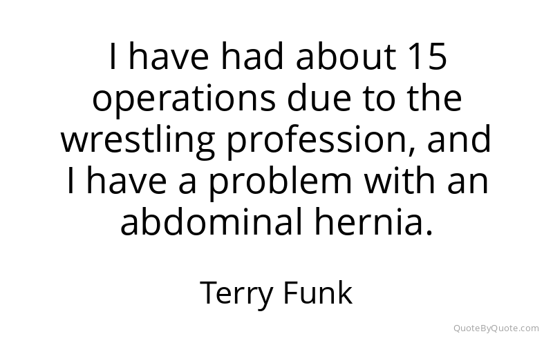 Preview image for this quote by Terry Funk