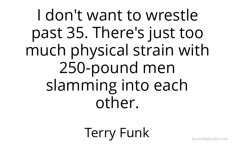 Preview image for this quote by Terry Funk