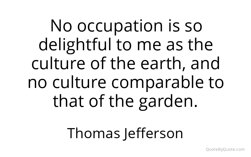 Preview image for this quote by Thomas Jefferson