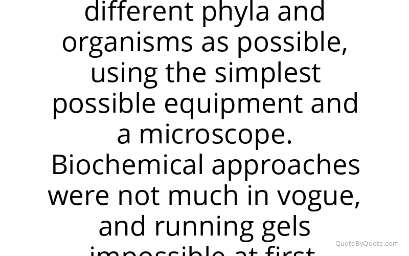 Preview image for this quote by Tim Hunt