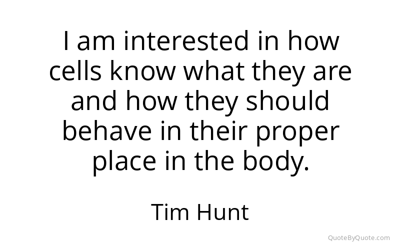 Preview image for this quote by Tim Hunt