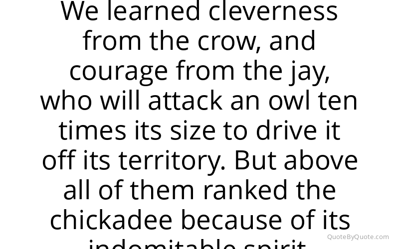 Preview image for this quote by Tom Brown, Jr.