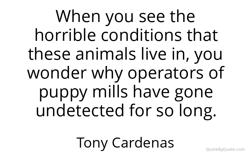 Preview image for this quote by Tony Cardenas