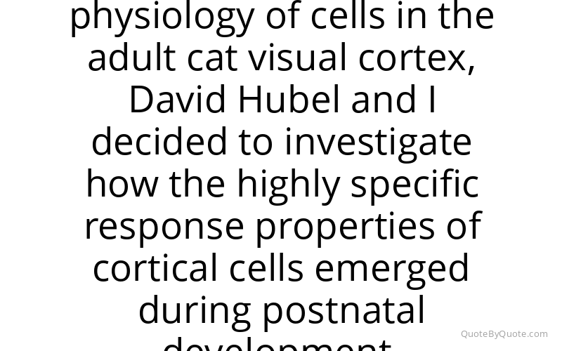 Preview image for this quote by Torsten Wiesel