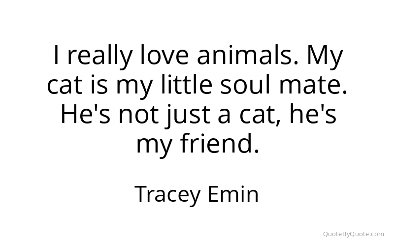 Preview image for this quote by Tracey Emin