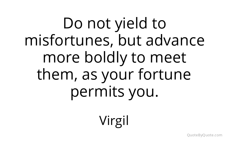 Preview image for this quote by Virgil
