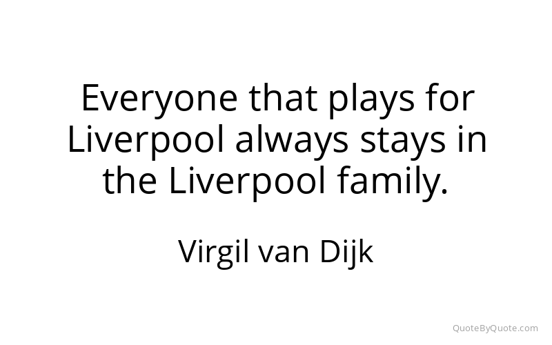Preview image for this quote by Virgil van Dijk