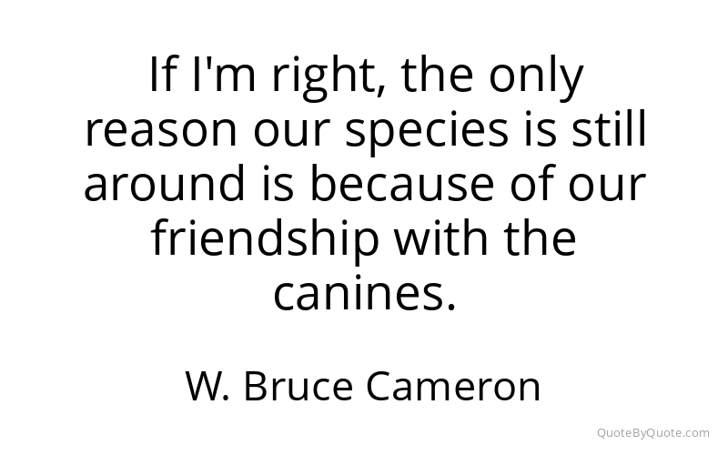 Preview image for this quote by W. Bruce Cameron