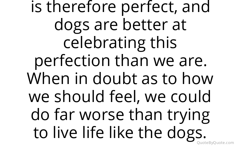 Preview image for this quote by W. Bruce Cameron