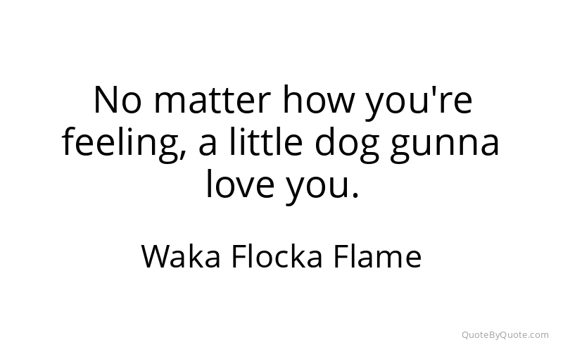 Preview image for this quote by Waka Flocka Flame