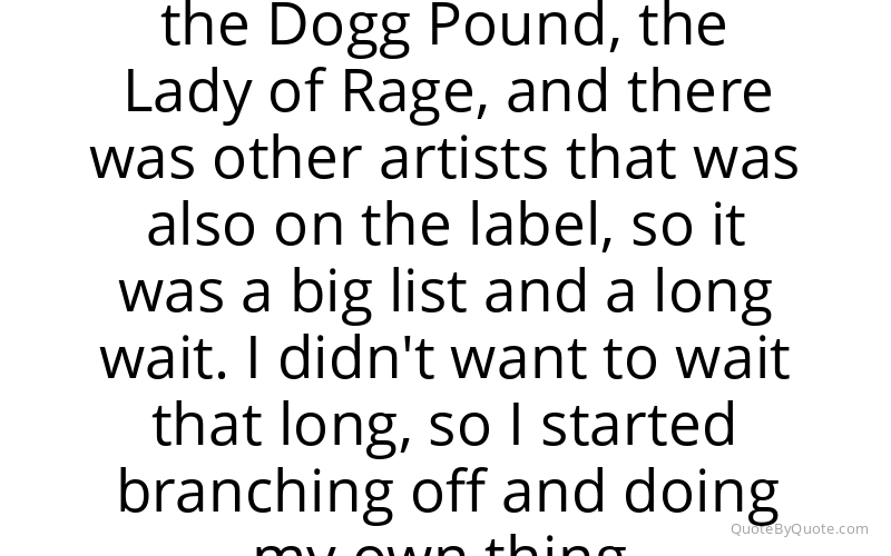 Preview image for this quote by Warren G