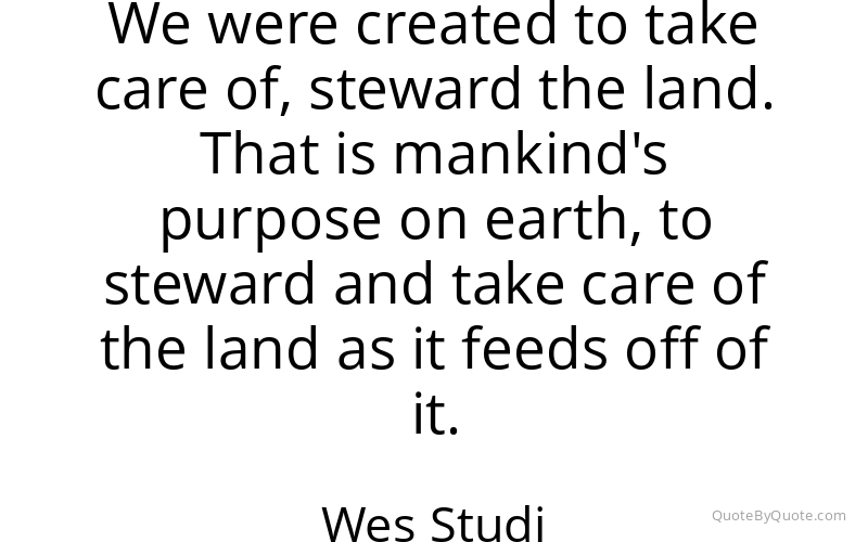Preview image for this quote by Wes Studi