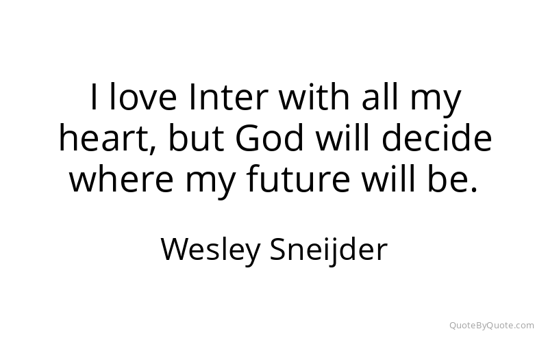 Preview image for this quote by Wesley Sneijder