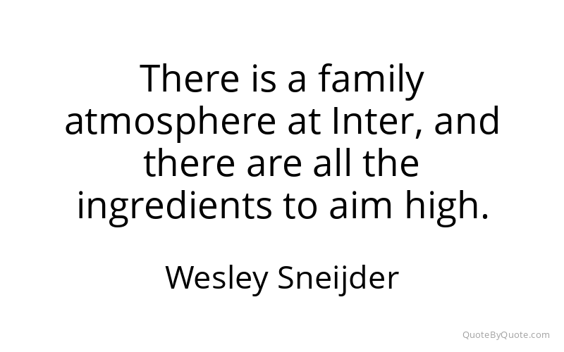 Preview image for this quote by Wesley Sneijder