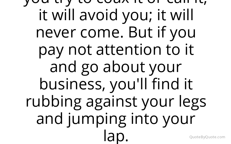 Preview image for this quote by William Bennett