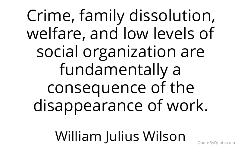 Preview image for this quote by William Julius Wilson