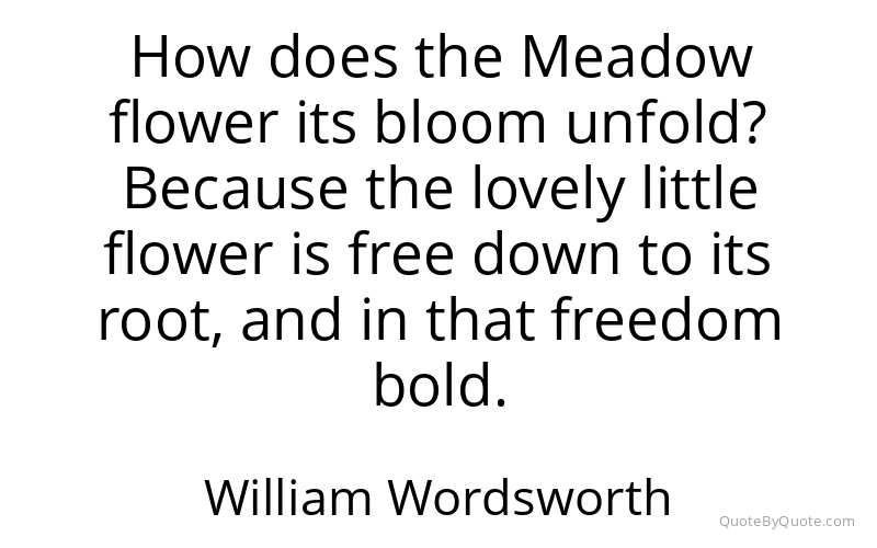 Preview image for this quote by William Wordsworth