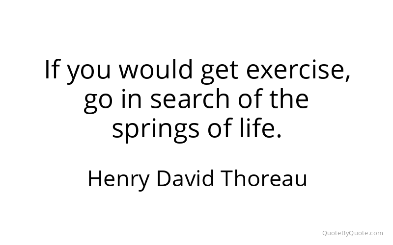 Preview image for this quote by Henry David Thoreau