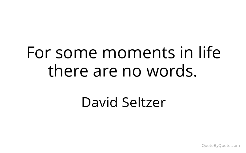 Preview image for this quote by David Seltzer