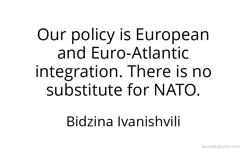 Preview image for this quote by Bidzina Ivanishvili