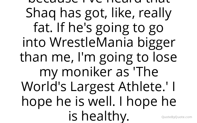 Preview image for this quote by Big Show