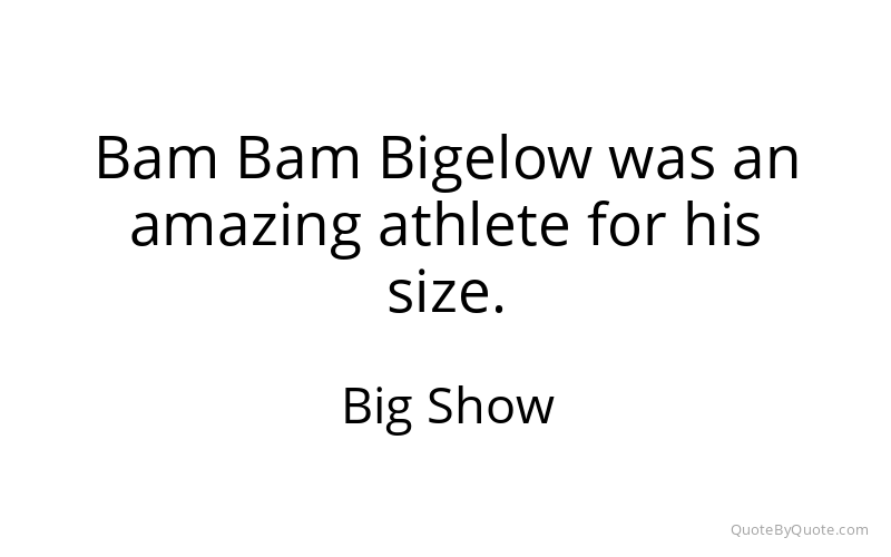 Preview image for this quote by Big Show