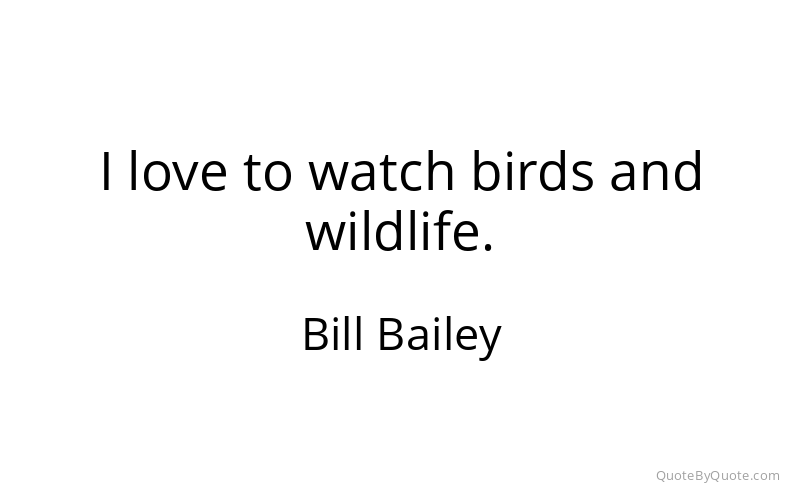 Preview image for this quote by Bill Bailey