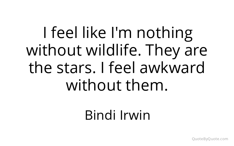 Preview image for this quote by Bindi Irwin