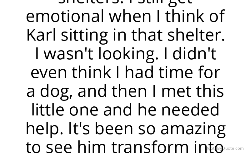 Preview image for this quote by Bob Harper
