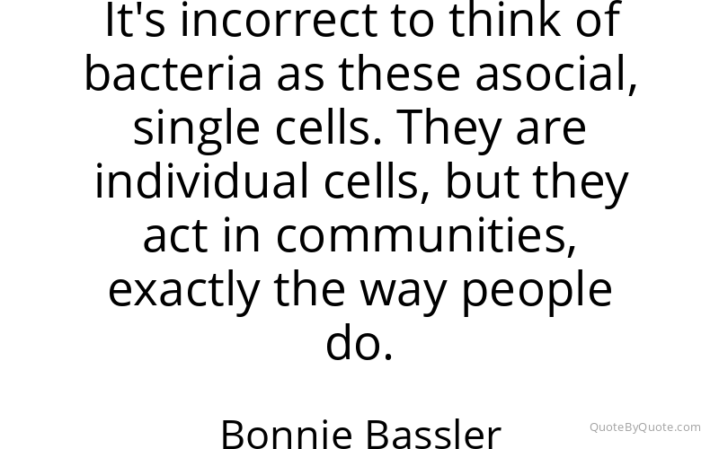 Preview image for this quote by Bonnie Bassler