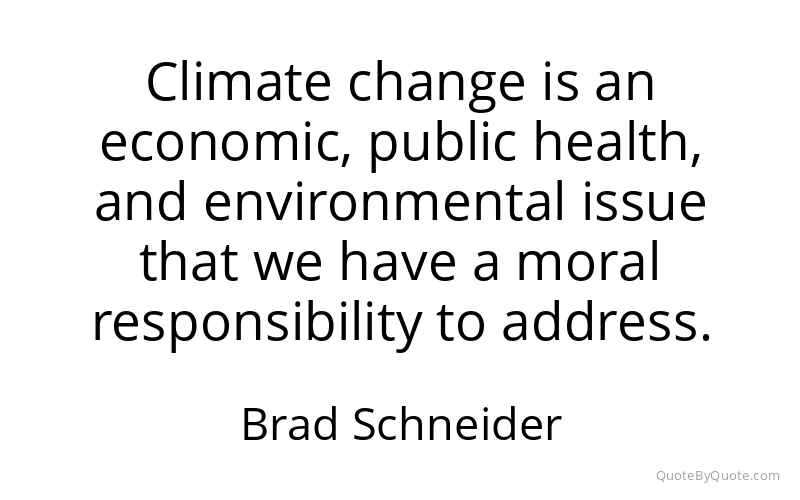 Preview image for this quote by Brad Schneider