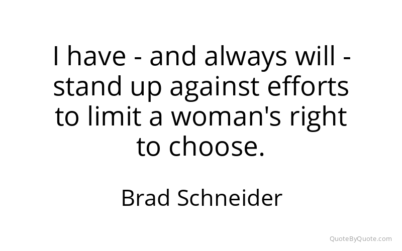 Preview image for this quote by Brad Schneider
