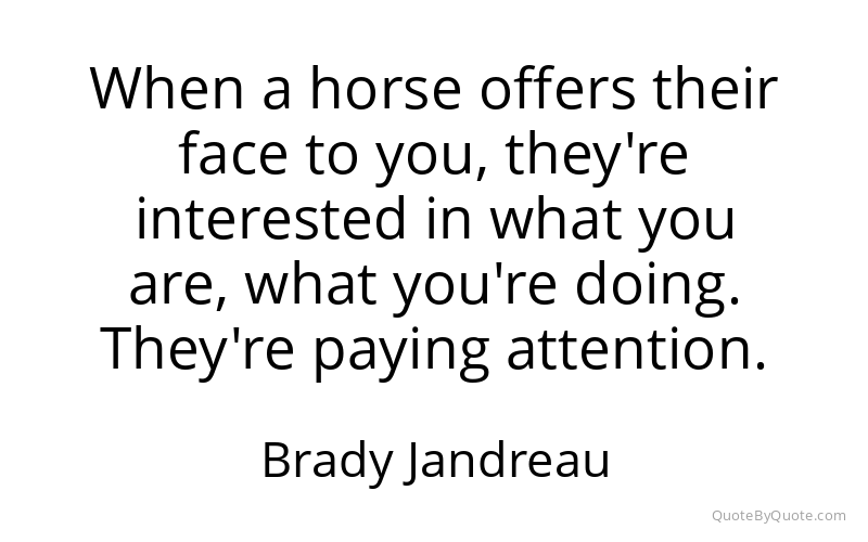 Preview image for this quote by Brady Jandreau
