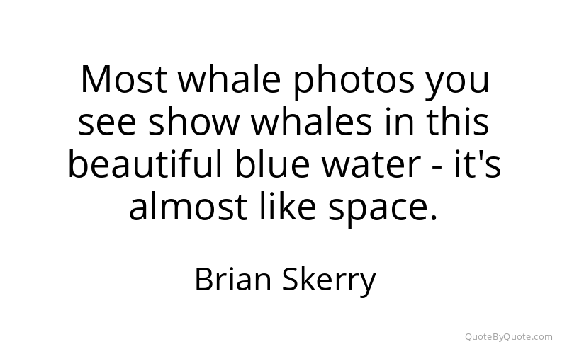 Preview image for this quote by Brian Skerry