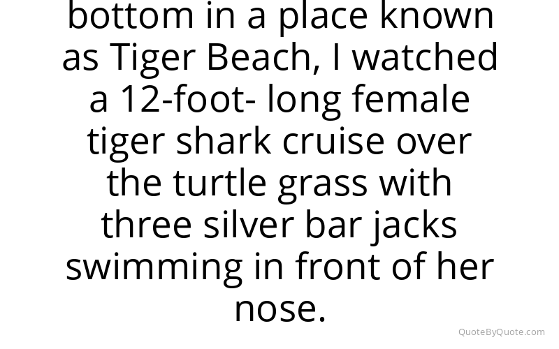 Preview image for this quote by Brian Skerry